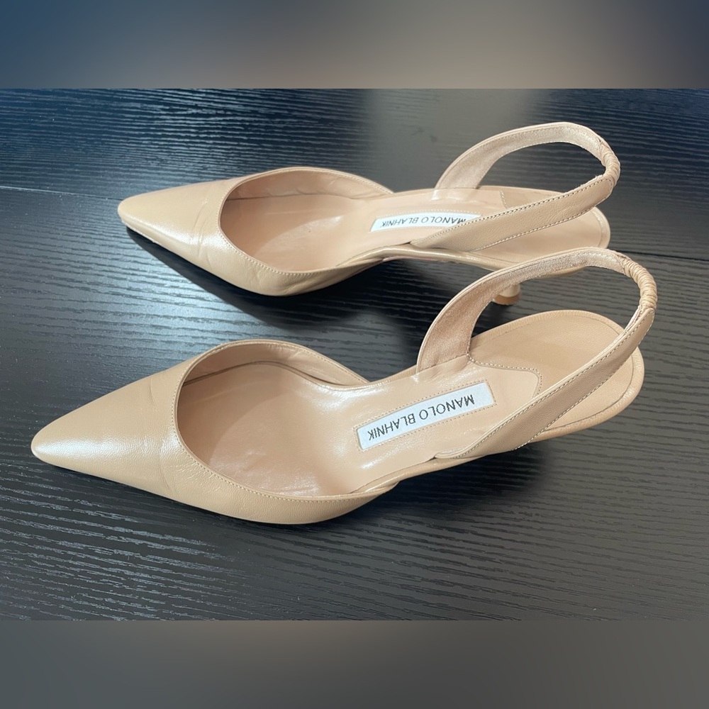 Manolo Blahnik Nude Beige Pointed Slingback Heels - Picture 3 of 9